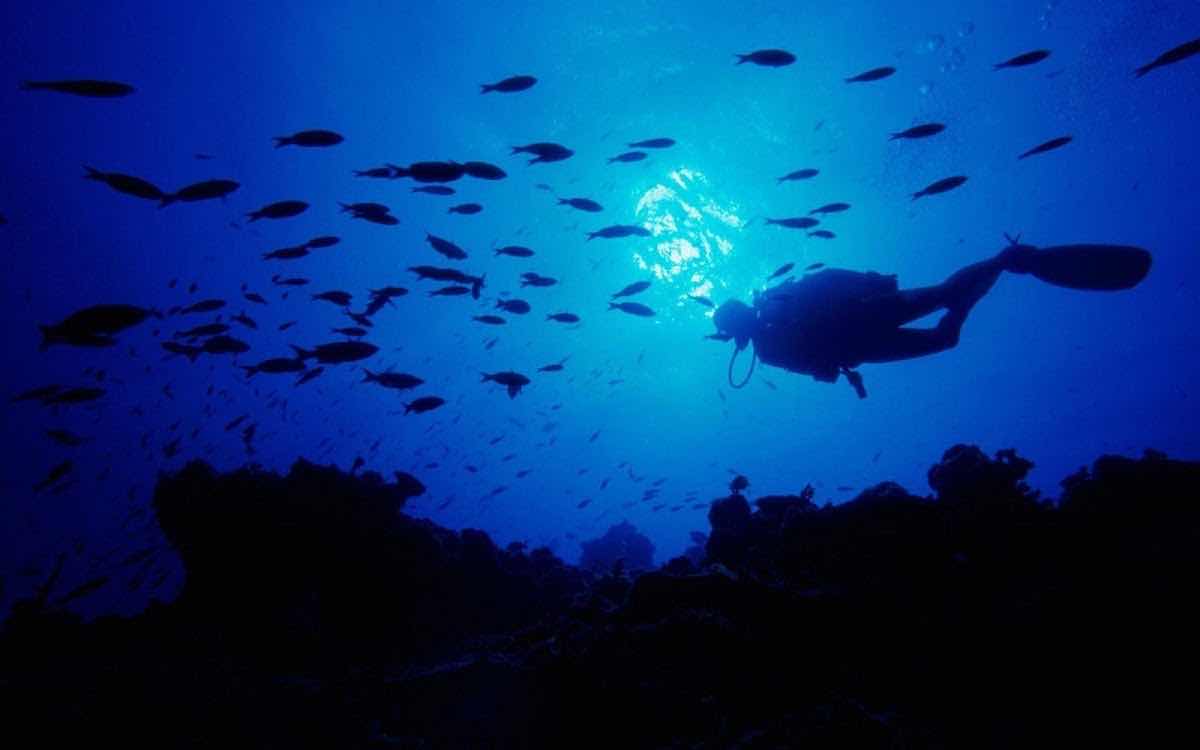 Scuba Memories photo 4
