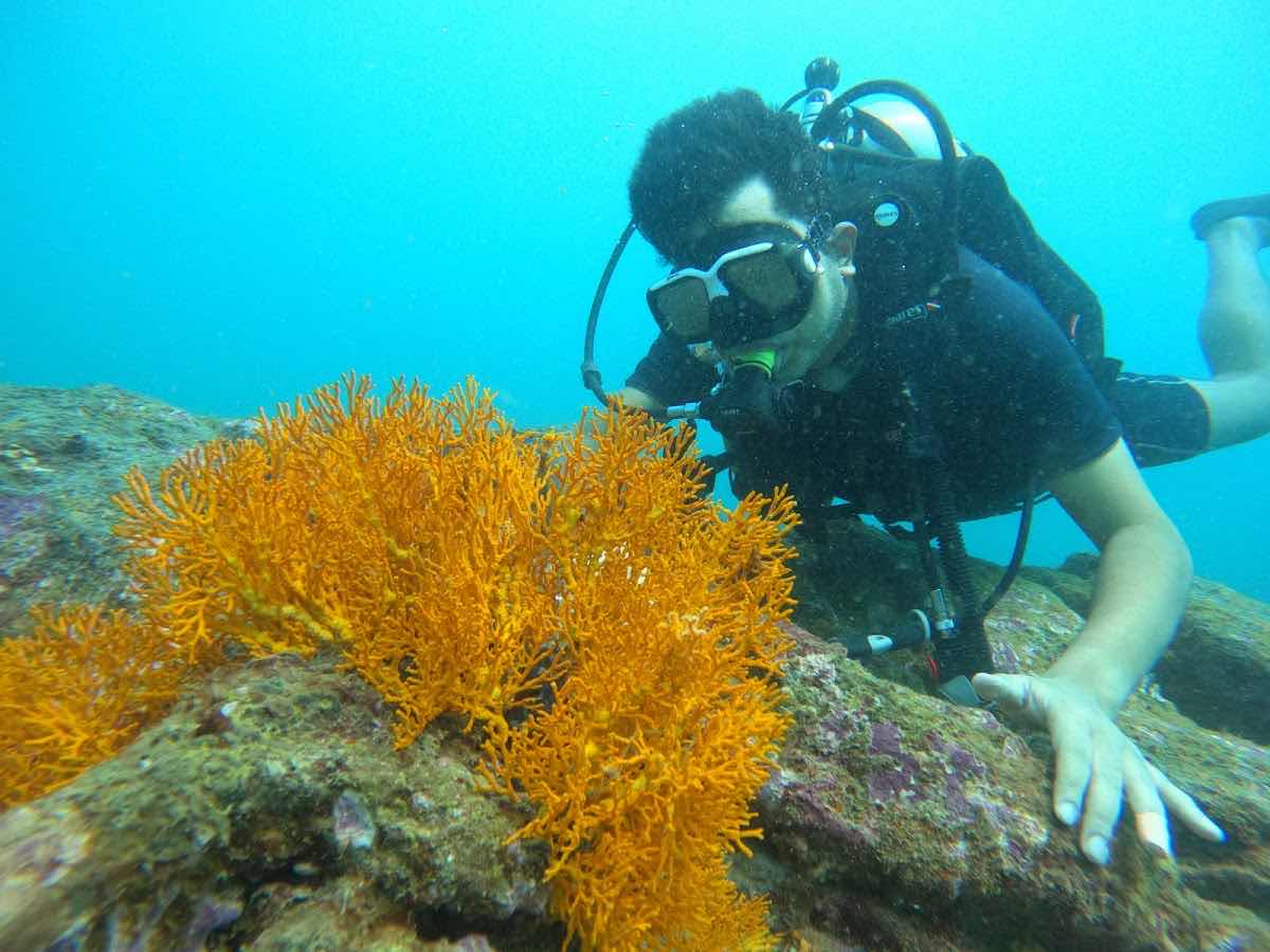 Scuba Memories photo 5