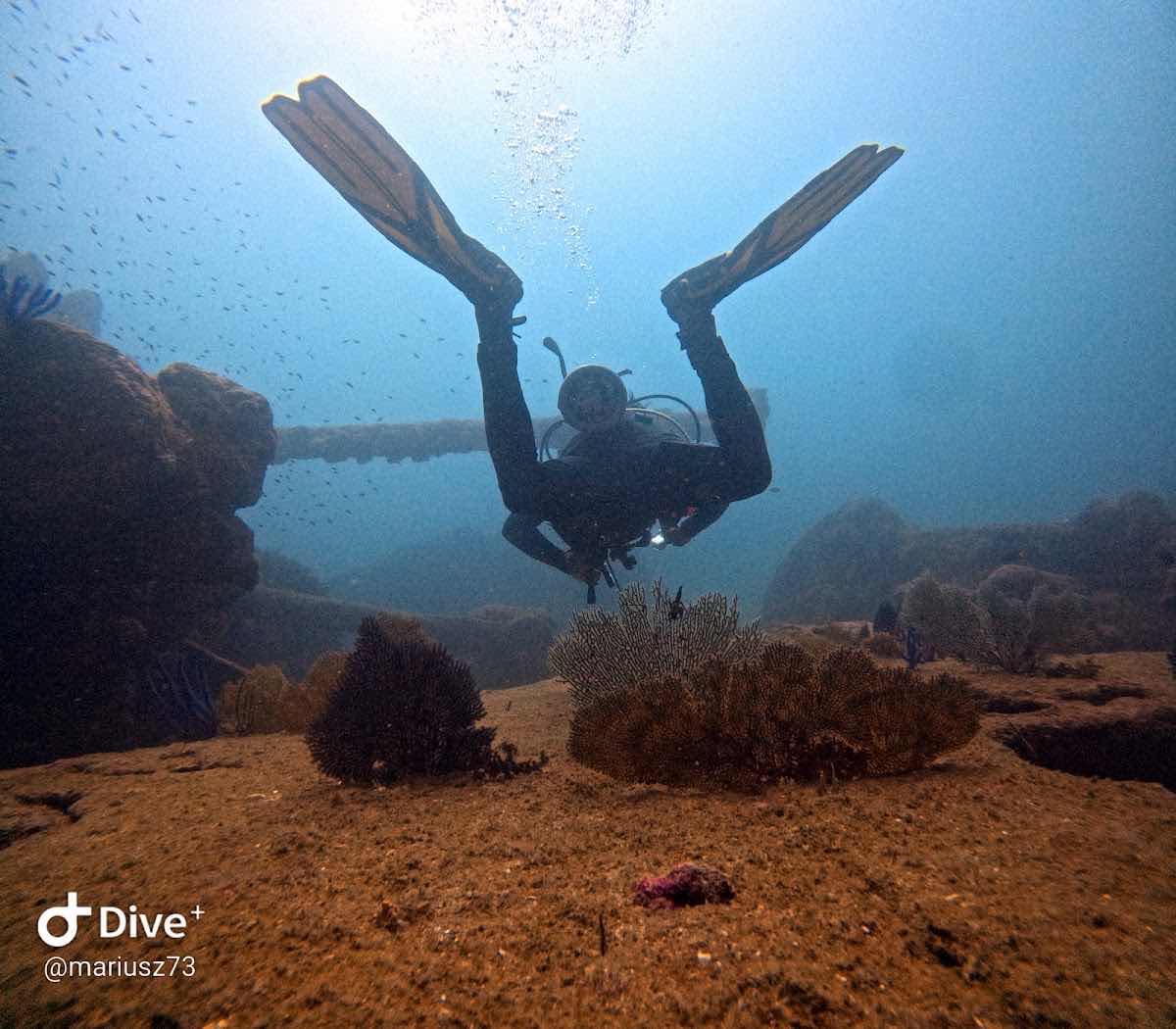 Scuba Memories photo 8