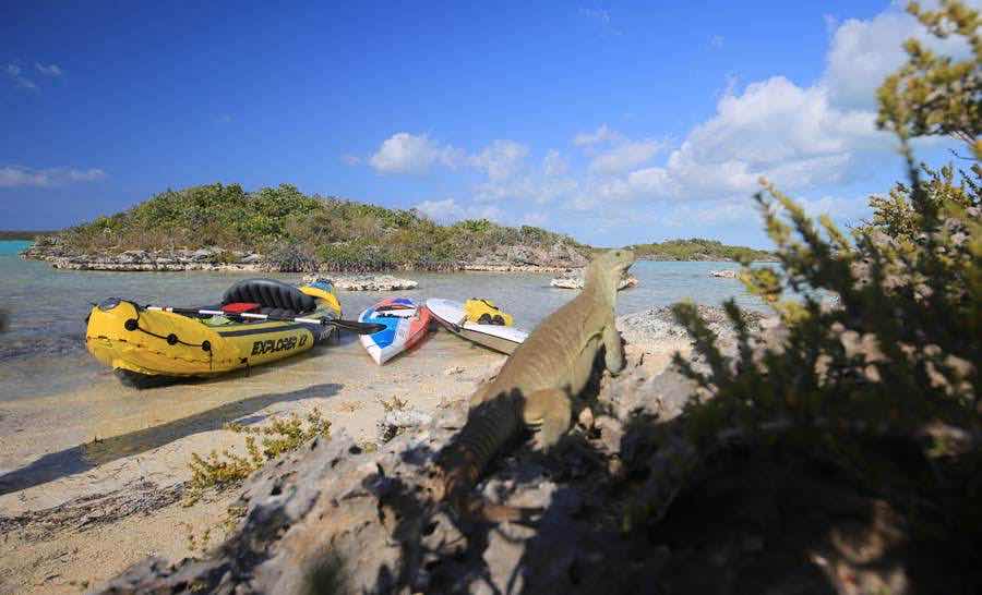 Fly TCI | Surf TCI - Watersports Leeward photo 2