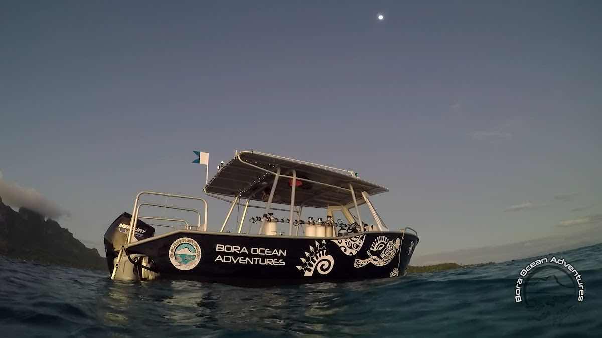 Bora Ocean Adventures photo 3