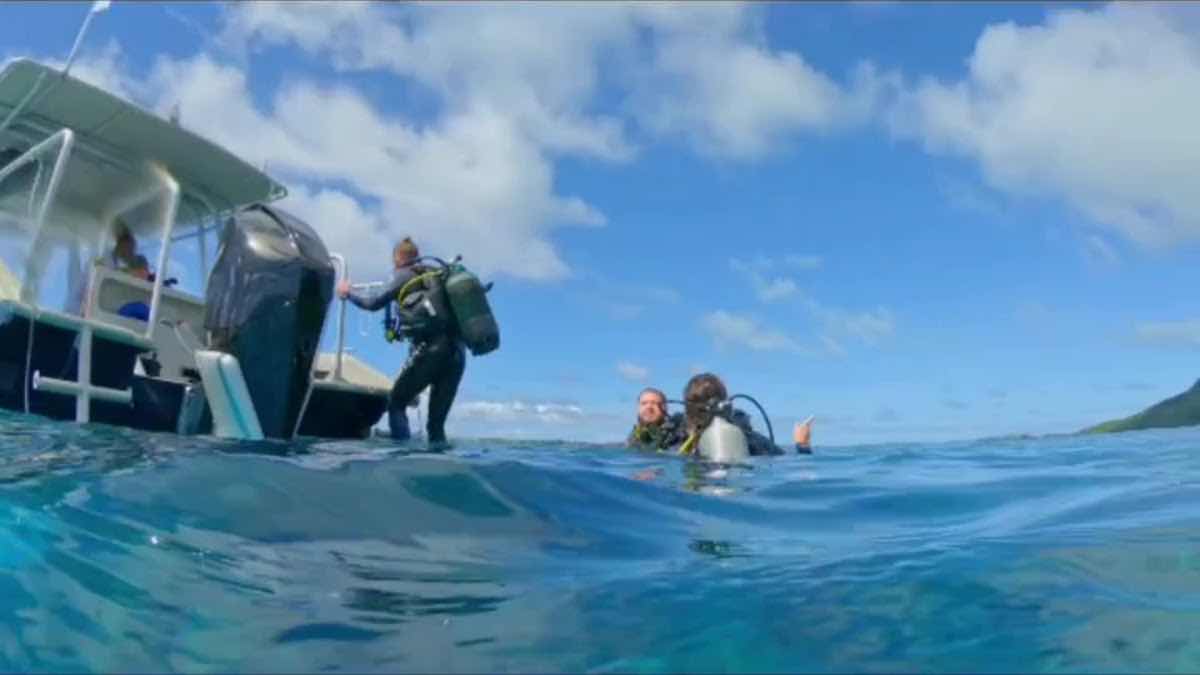 Bora Ocean Adventures photo 4