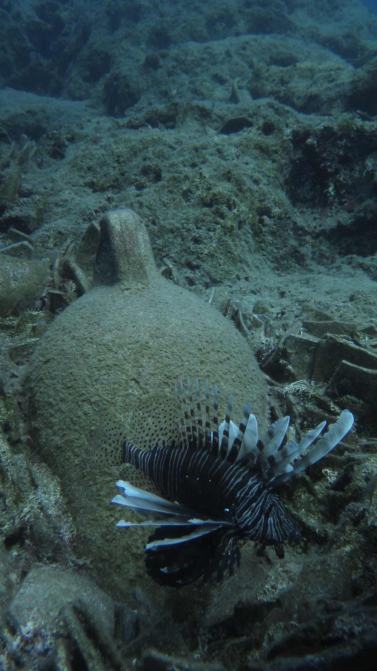 Nautilus Diving Center photo 8
