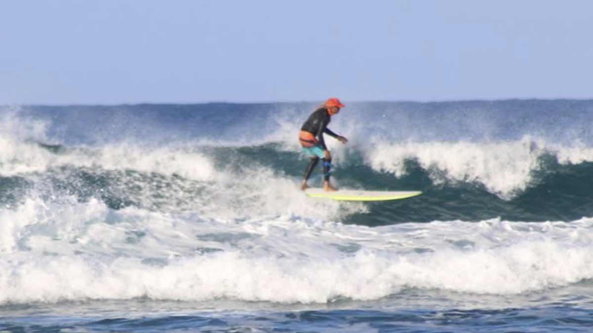 Gone Surfing Hawaii photo 7