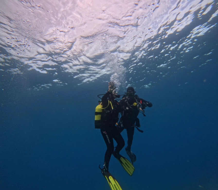 Dive Center Azores Sub Centro de Mergulho e Loja photo 9