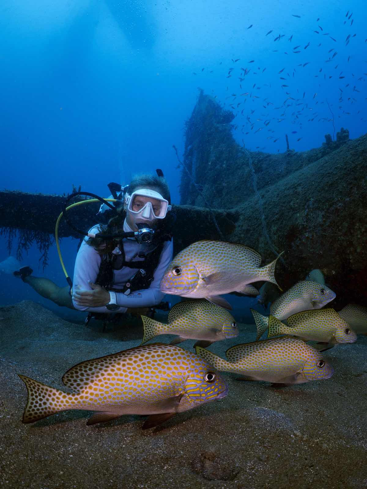 Magical Munda Dive Centre photo 1