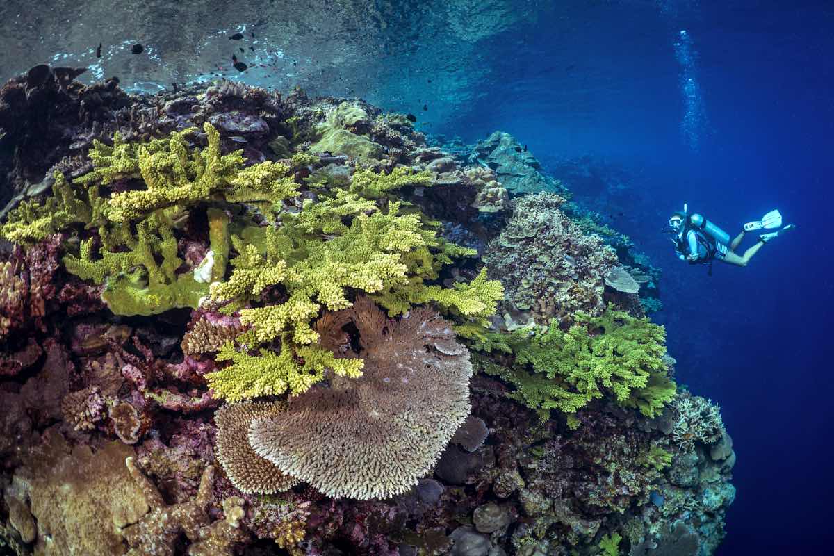 Magical Munda Dive Centre photo 2