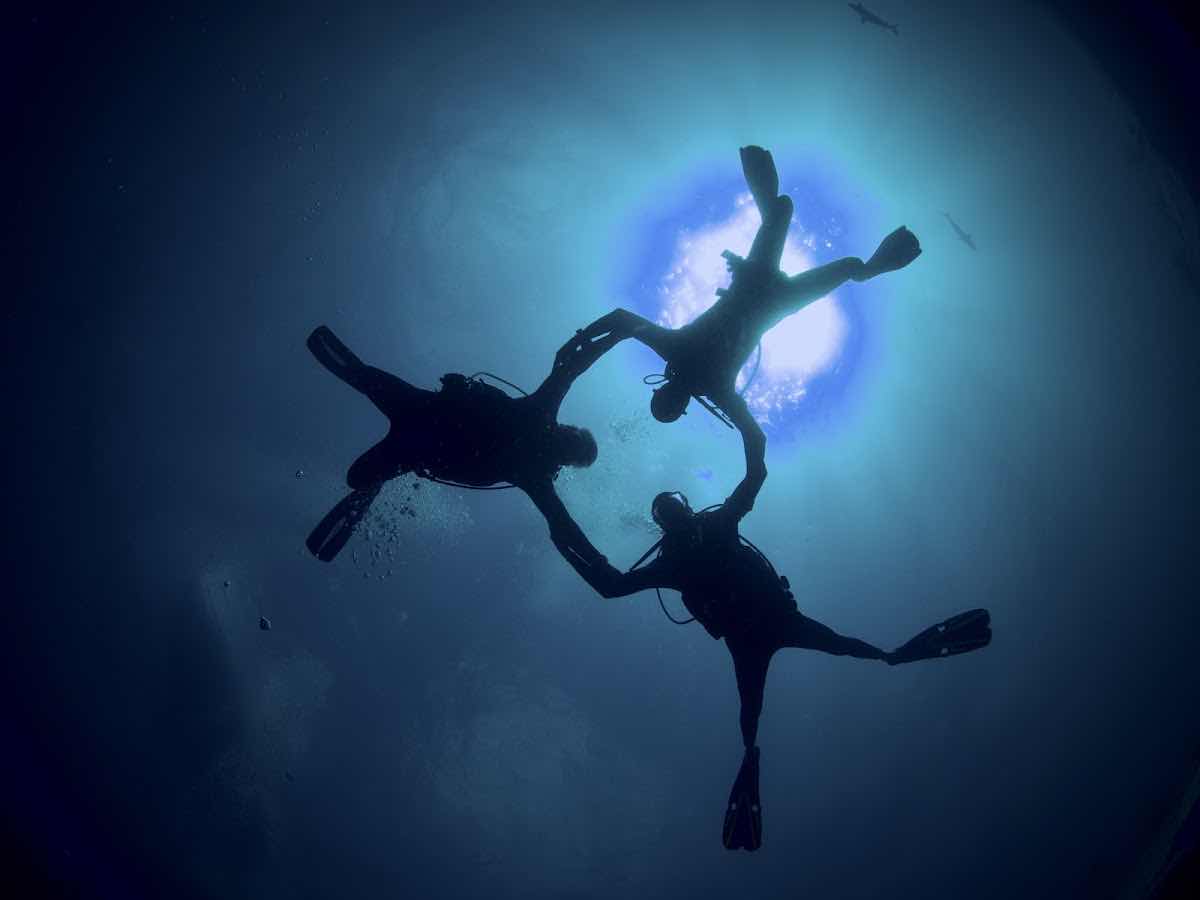 Dive Deep Blue by ABC Diving photo 1