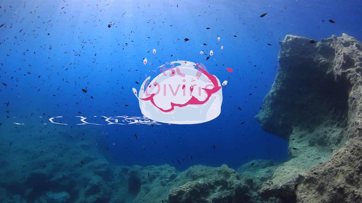 Dive Deep Blue by ABC Diving photo 4