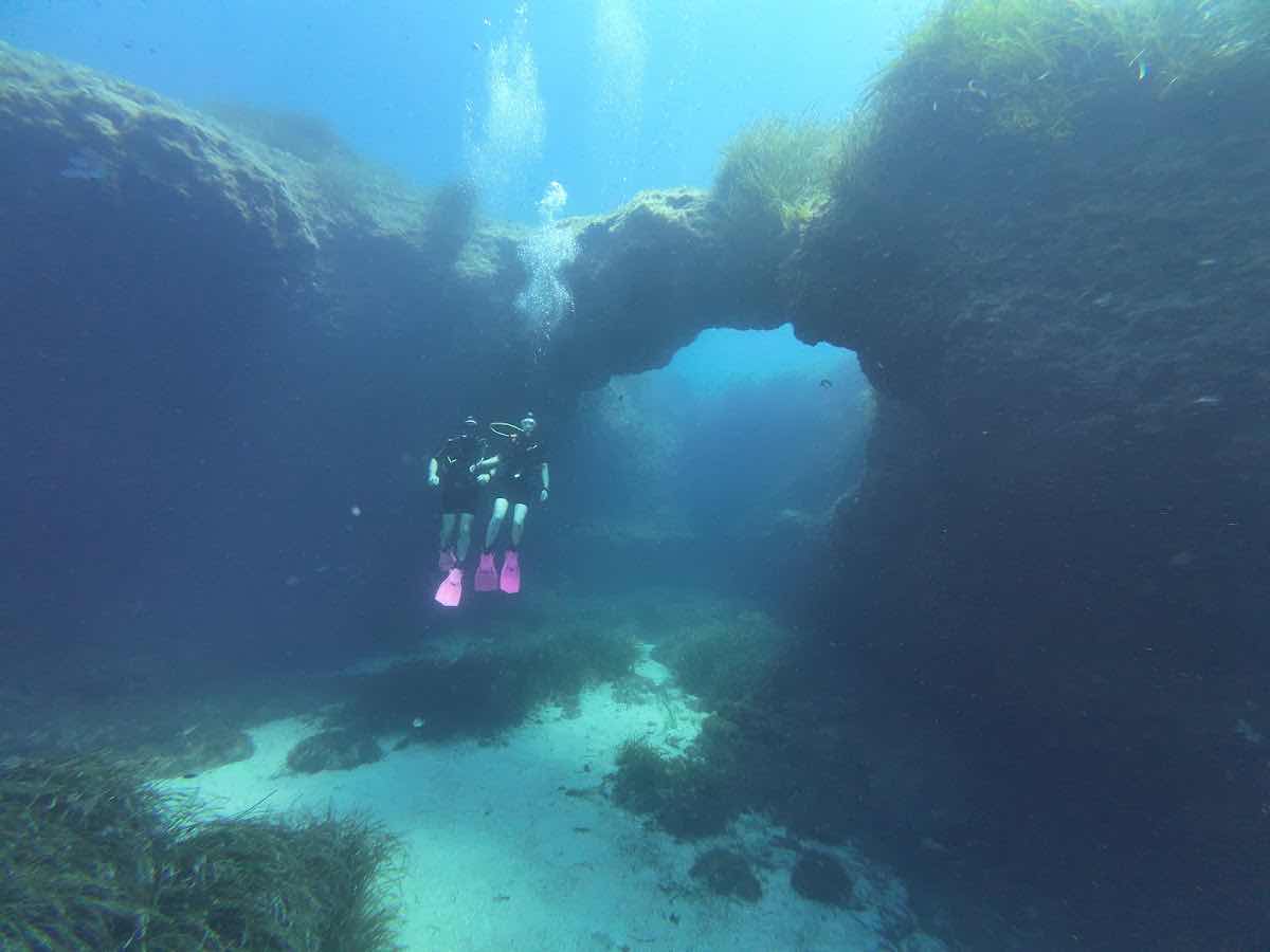 Dive Deep Blue by ABC Diving photo 9