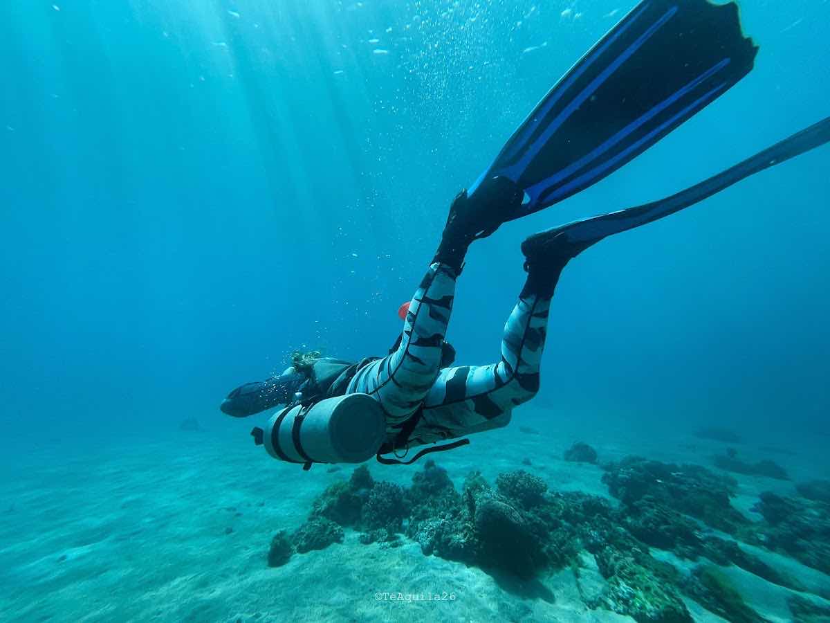 Dreamers Dive Academy Timor photo 4
