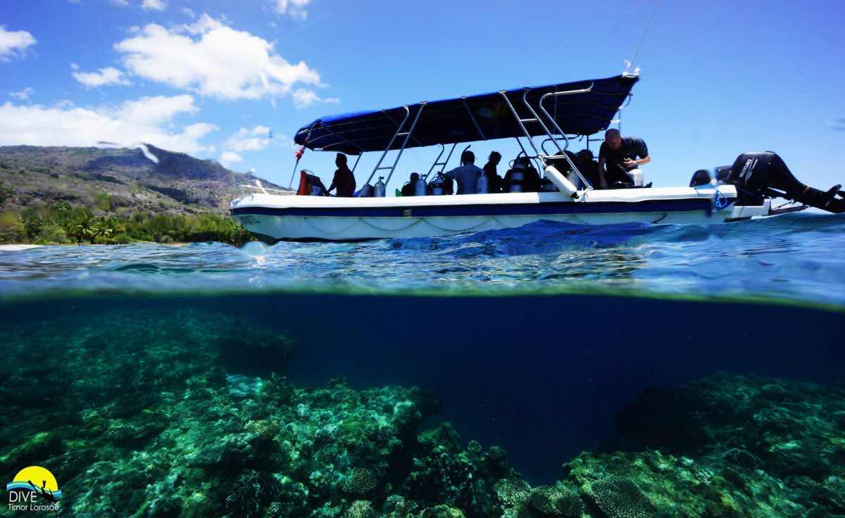 Dreamers Dive Academy Timor photo 6