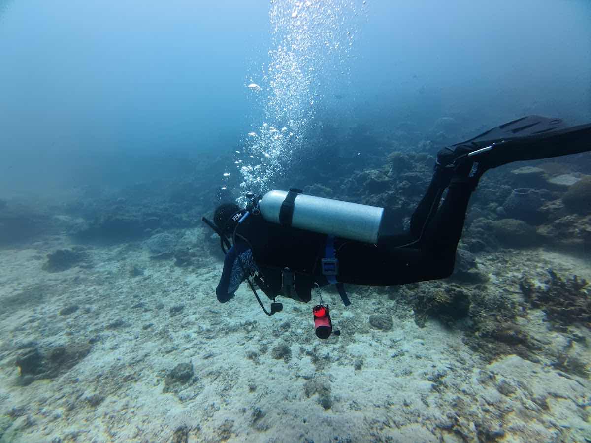 95 Dive Adventures Sdn. Bhd. (SABAH) photo 8