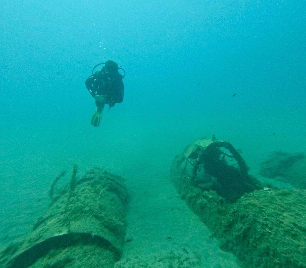 Royal blue diving (francophone) photo 2