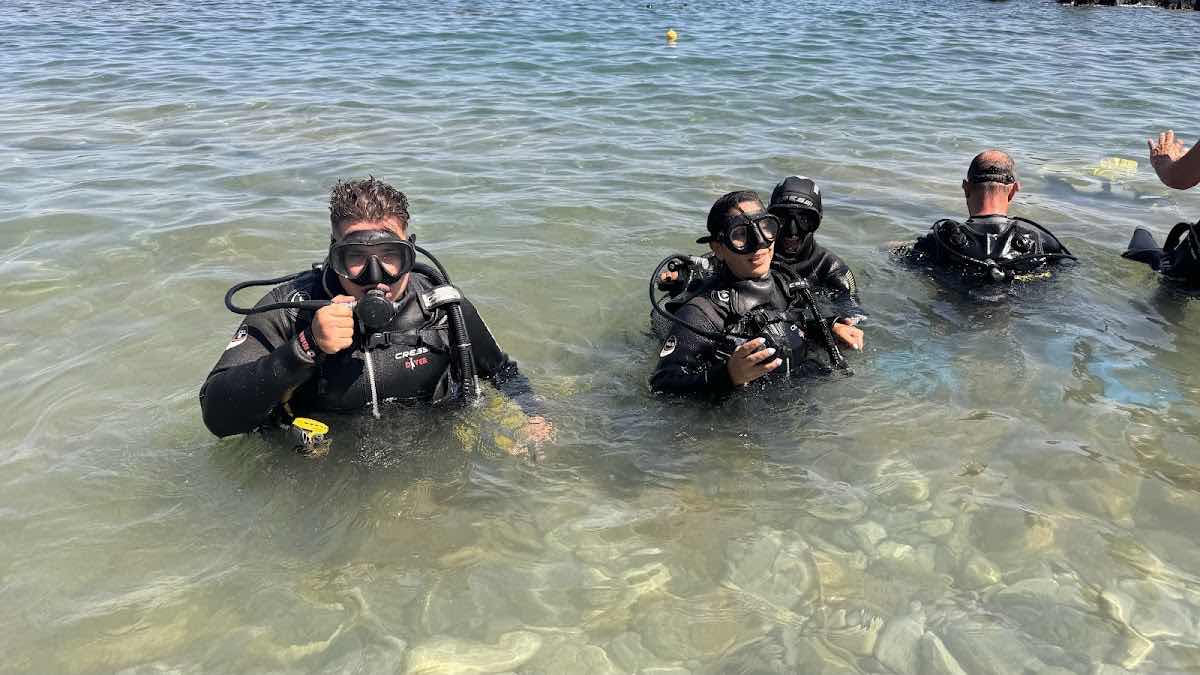 Royal blue diving (francophone) photo 6
