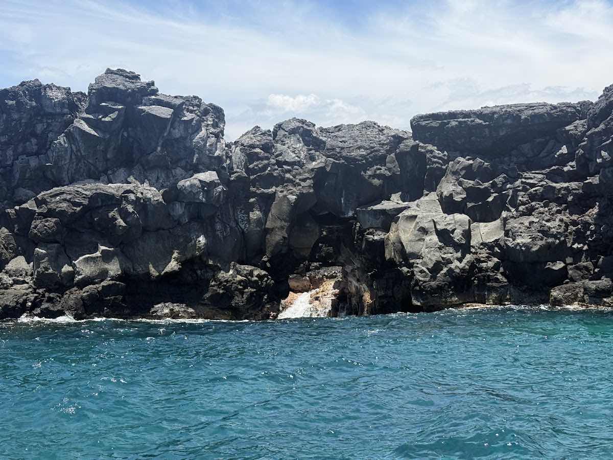 Hawaii Marine Life Charters photo 2