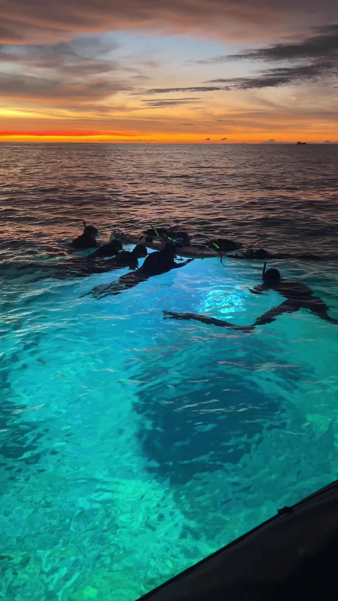 Hawaii Marine Life Charters photo 4