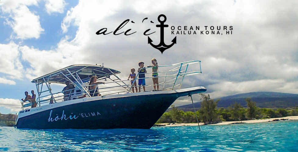 Hawaii Marine Life Charters photo 5