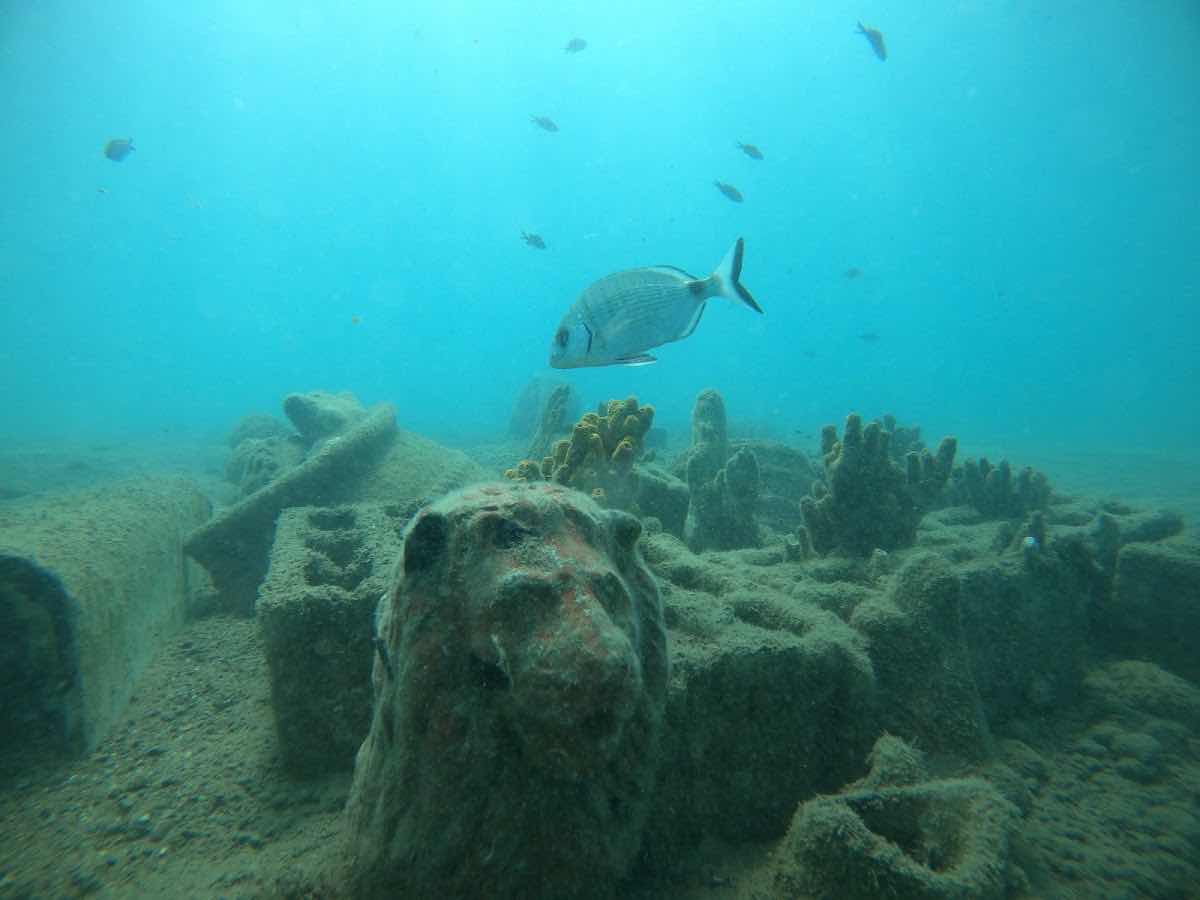 Kos Divers - Padi 5* scuba diving center photo 2