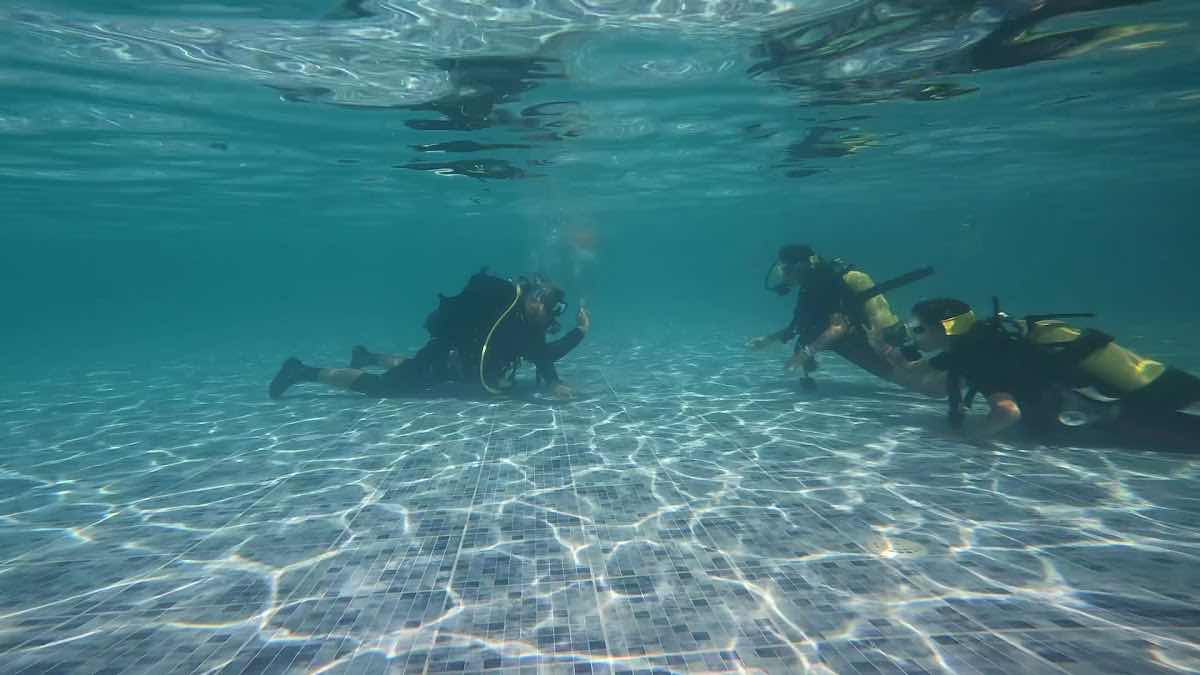 Kos Divers - Padi 5* scuba diving center photo 3