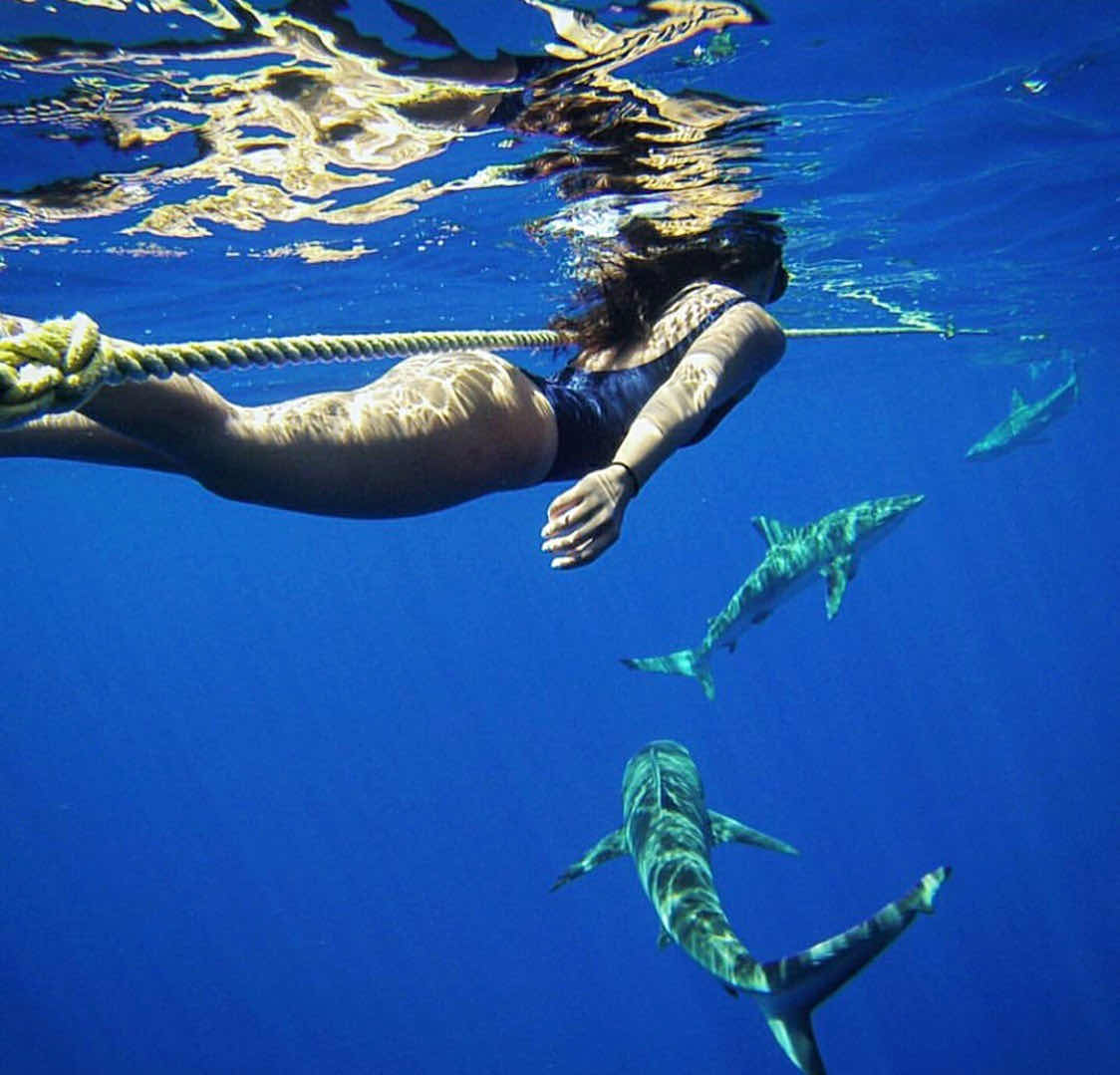 HAWAII ADVENTURE DIVING photo 1