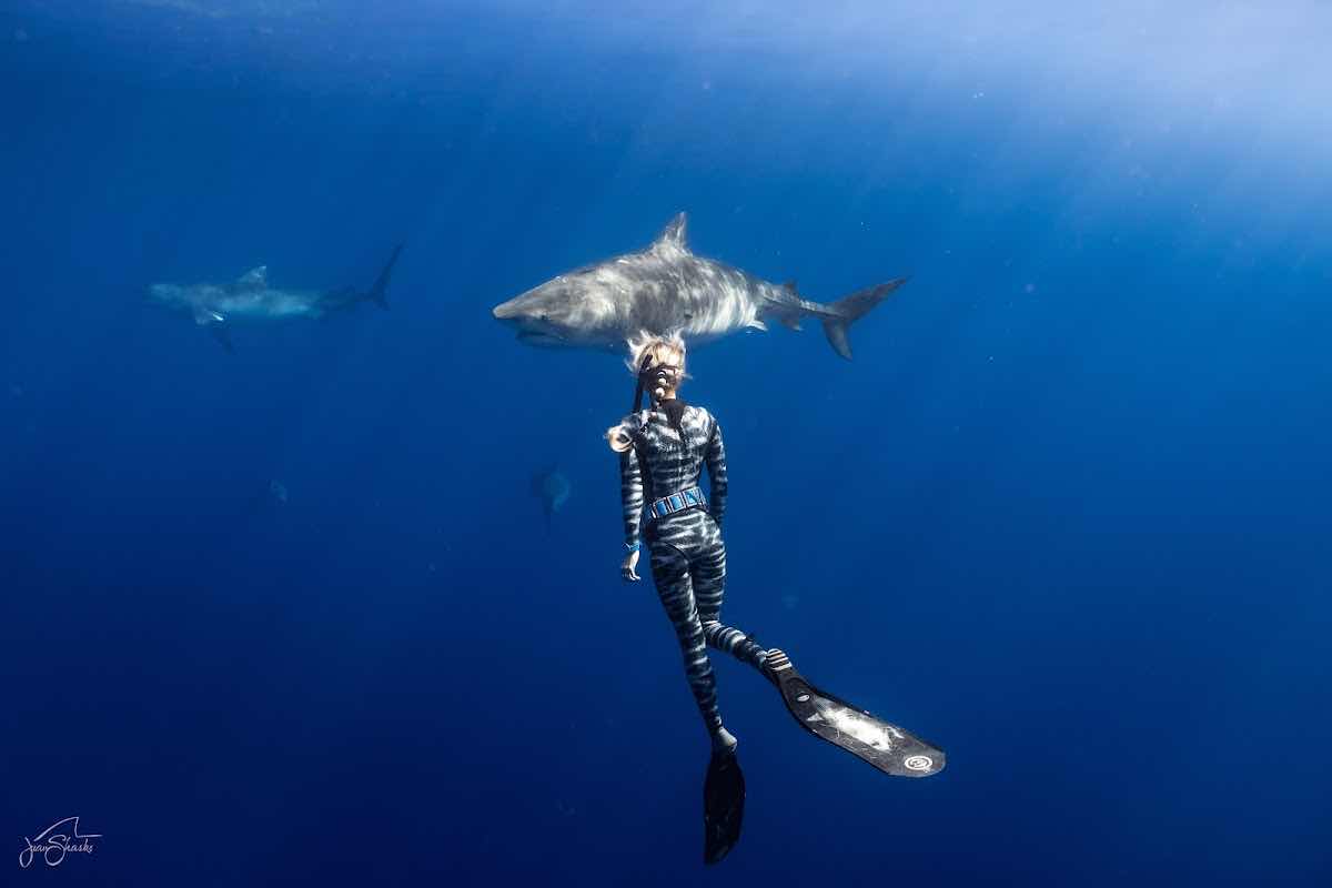 HAWAII ADVENTURE DIVING photo 7