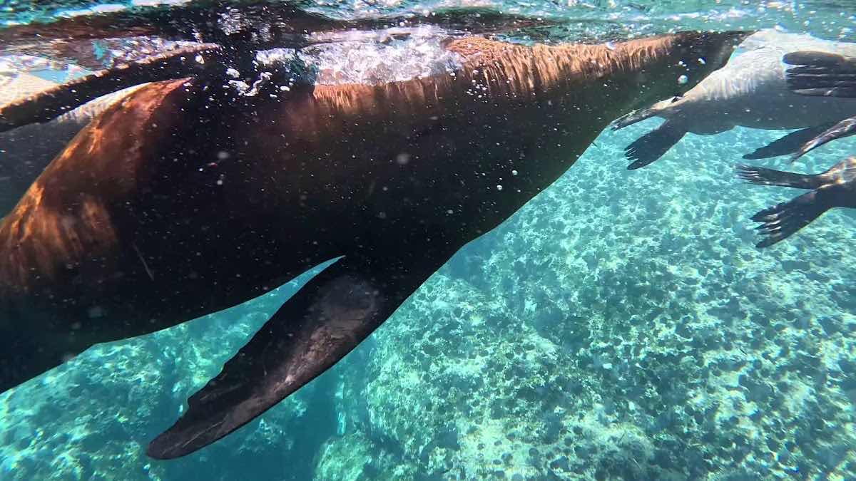 Mexico Travel Adventure photo 3