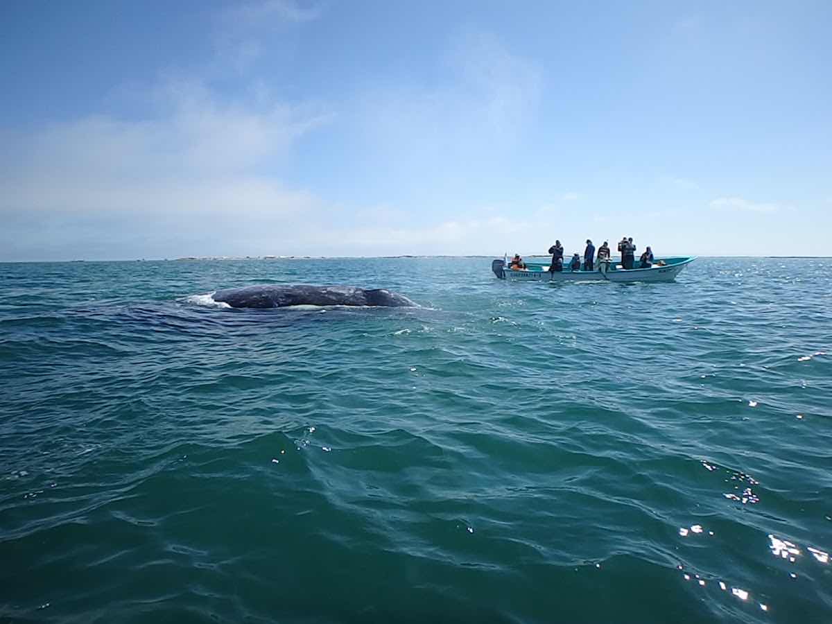 Mexico Travel Adventure photo 6