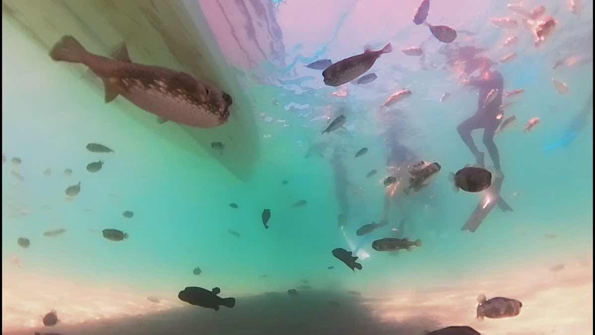 Mexico Travel Adventure photo 10