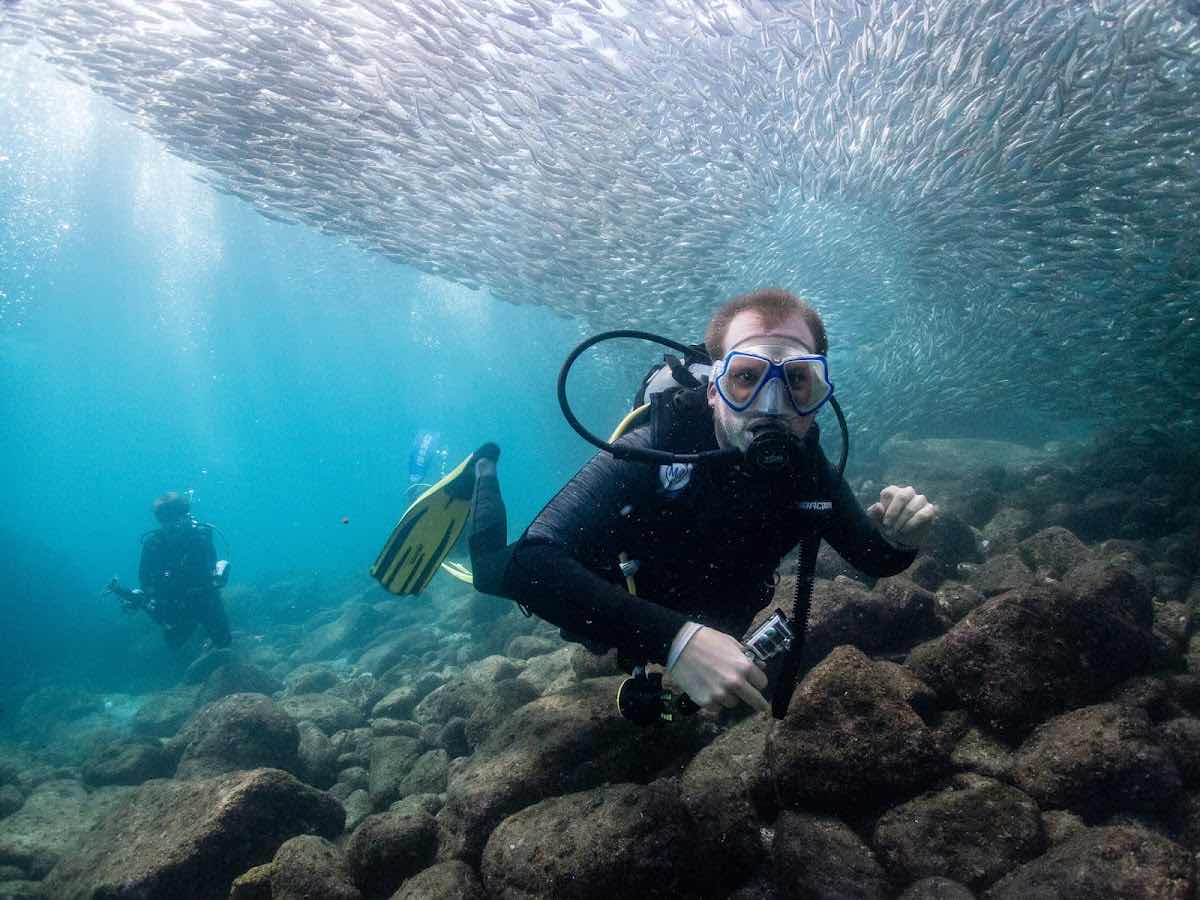 Dive Baja - Ocean Adventures photo 5