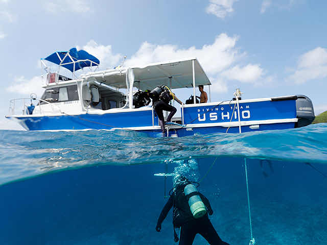 Diving Team Ushio photo 5