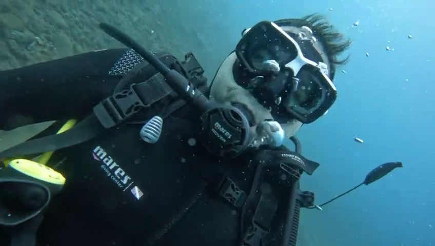 Cipreia Dive Club Madeira | Caniço - Praia dos Reis Magos photo 3