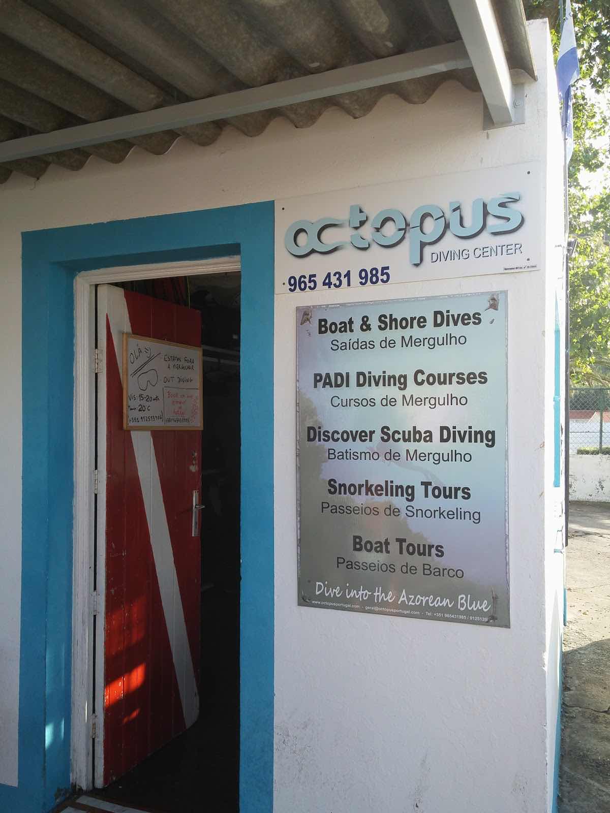 Octopus Diving Center photo 2