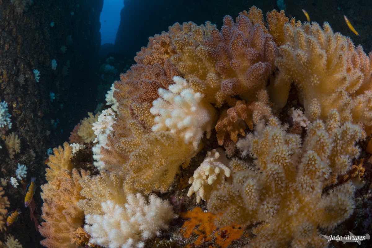 Octopus Diving Center photo 5