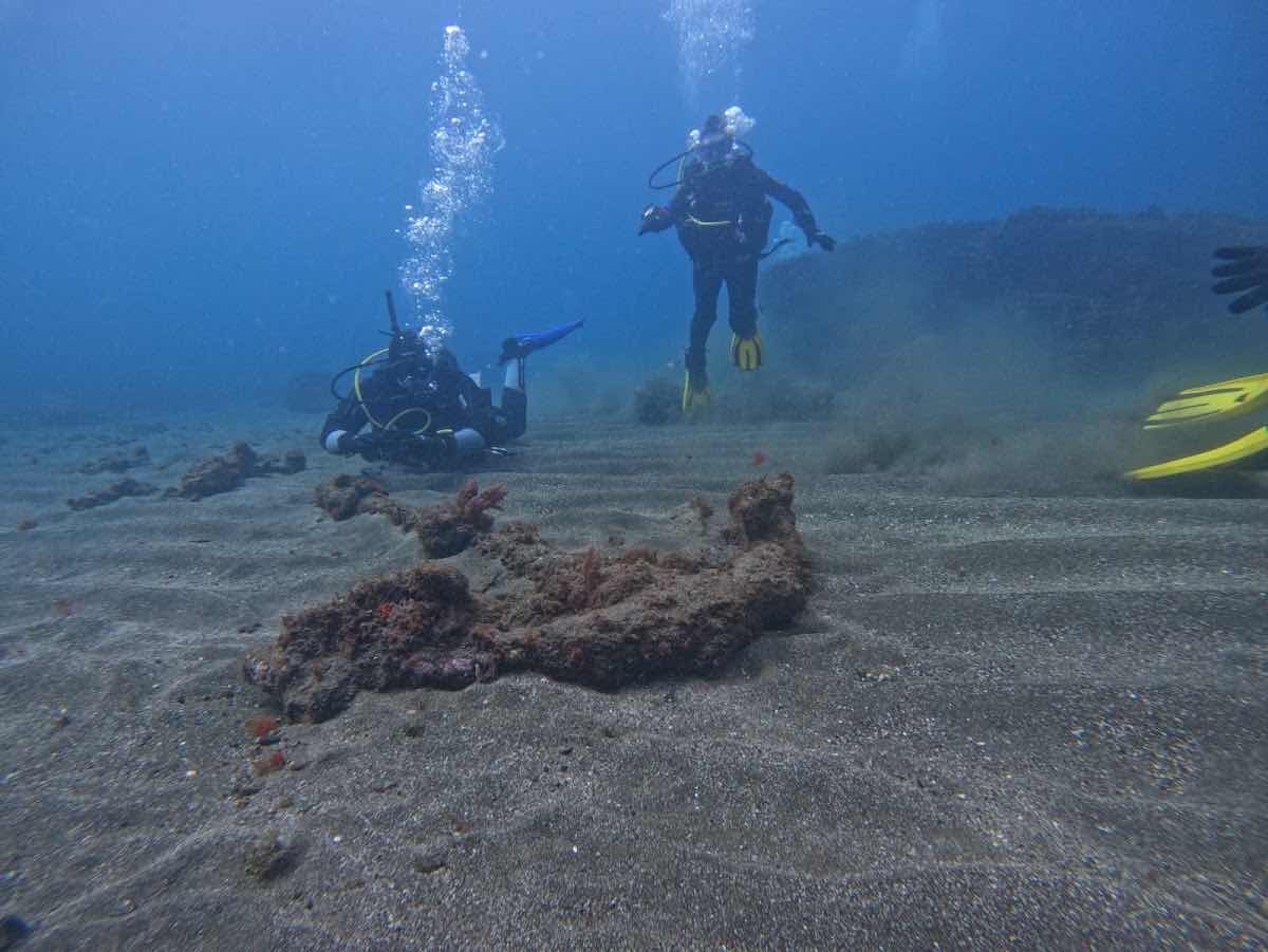 Scubazores divers -dive center photo 2