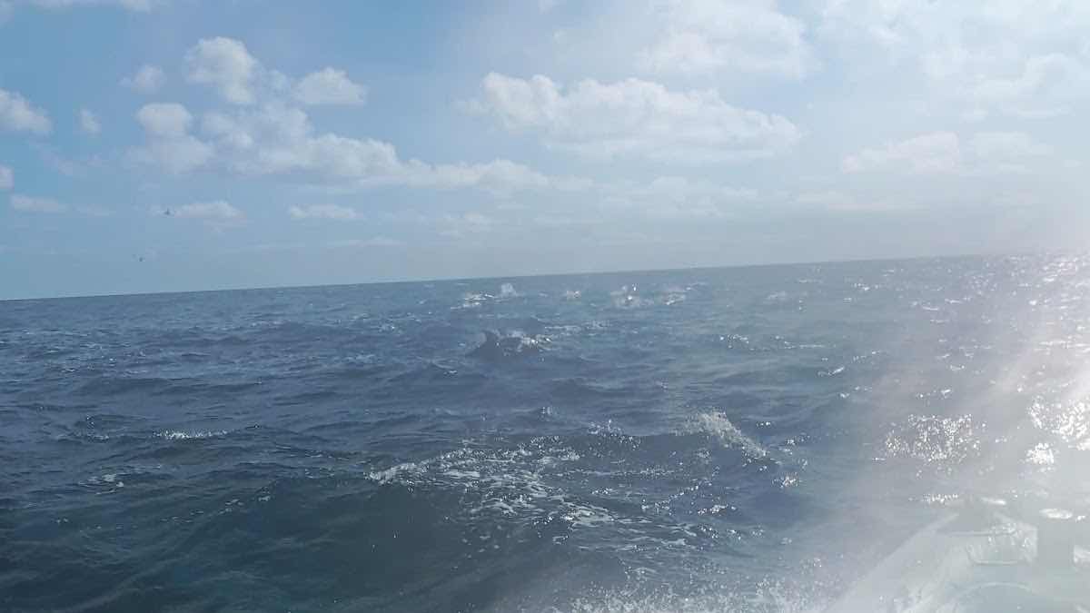 Scubazores divers -dive center photo 3