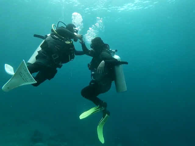 Nomads Diving photo 8