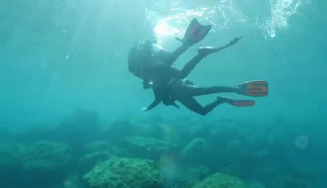 Marine Divers - British Owned PADI 5* Scuba Diving Centre, Paphos, Cyprus photo 4