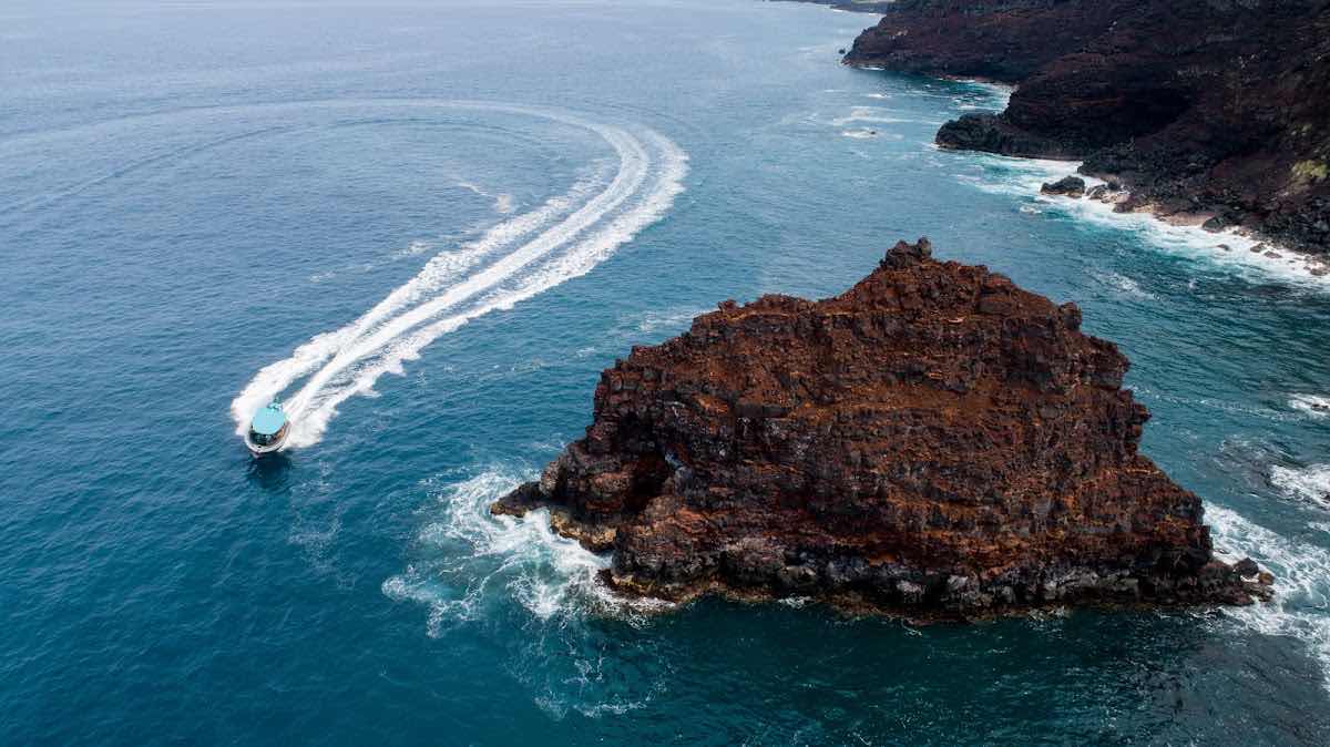 Kona Snorkel Trips photo 10
