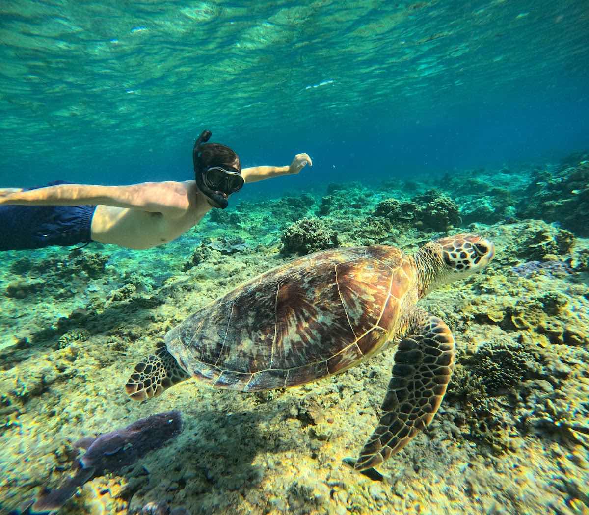 Gili Snorkeling Tour photo 1