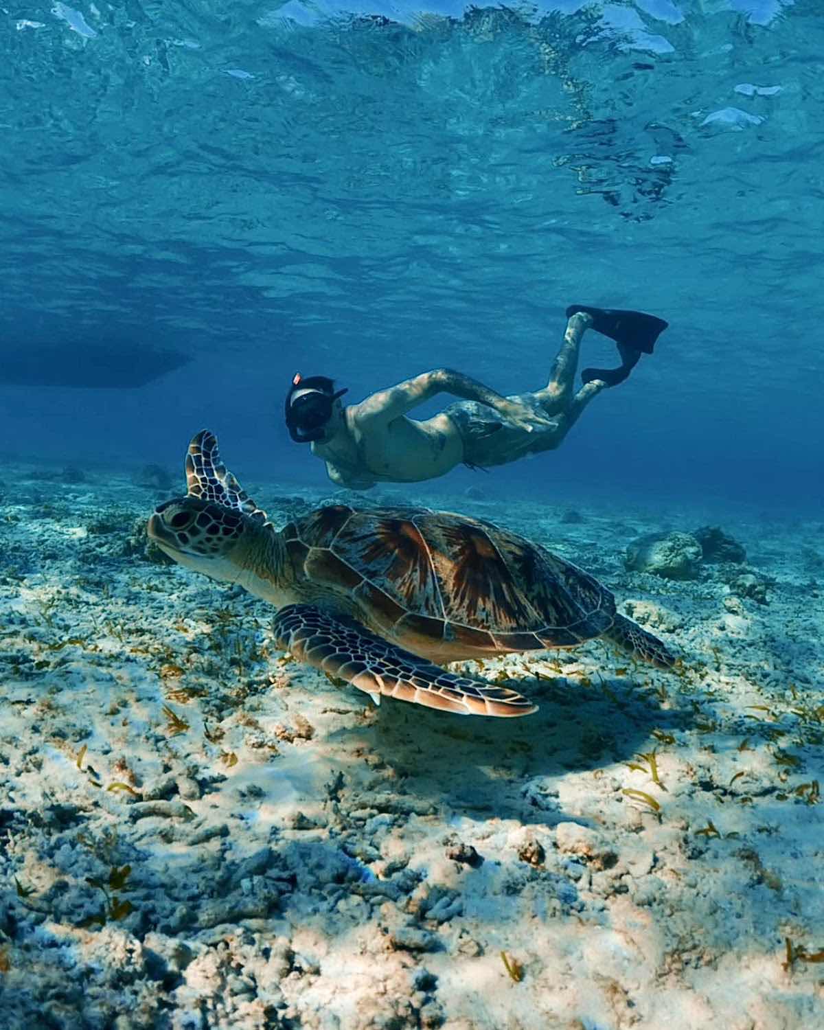 Gili Snorkeling Tour photo 6