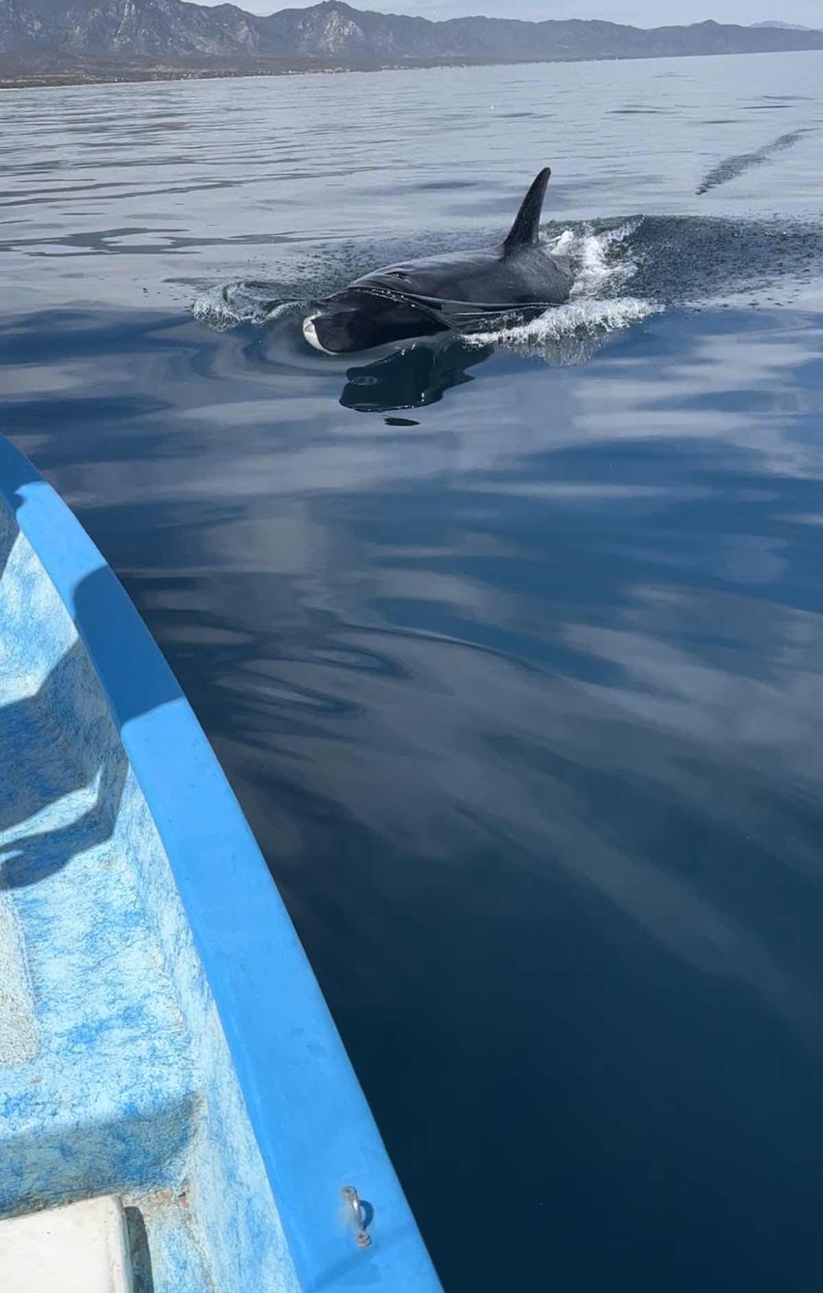 La Ventana Dive Center photo 8