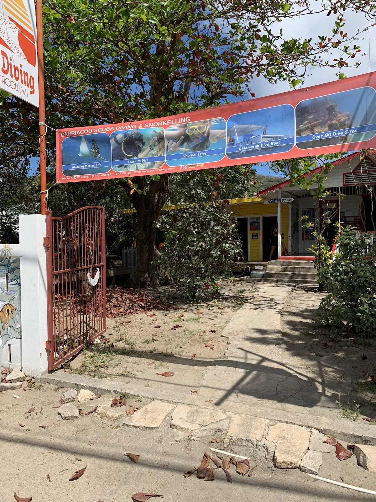 Deefer Diving Carriacou photo 1