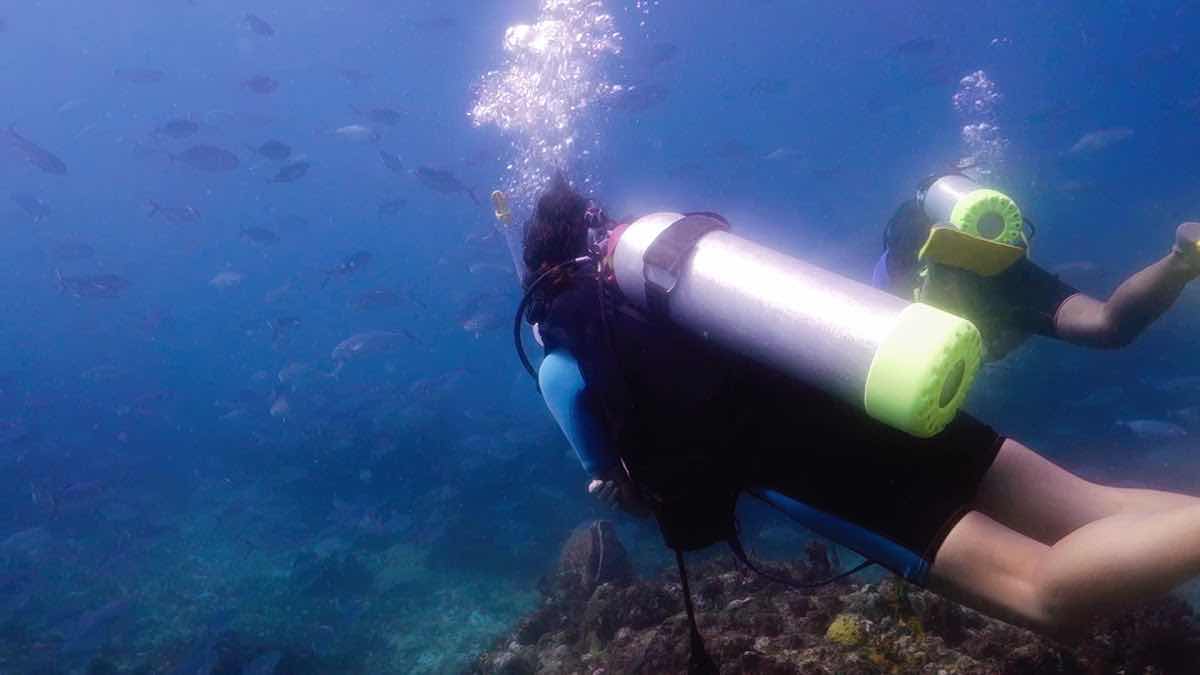 Deefer Diving Carriacou photo 4