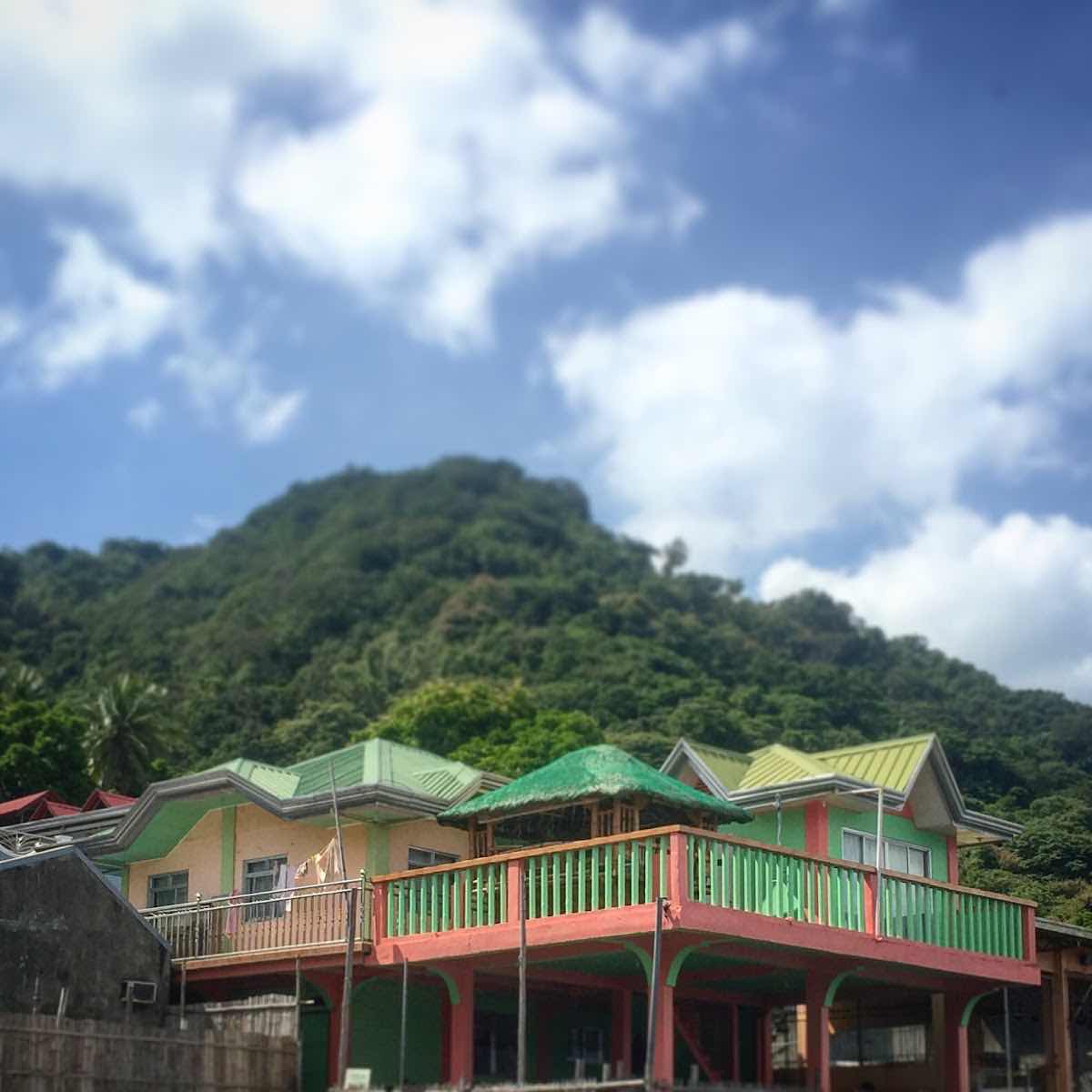 Anilao Photo Academy photo 7