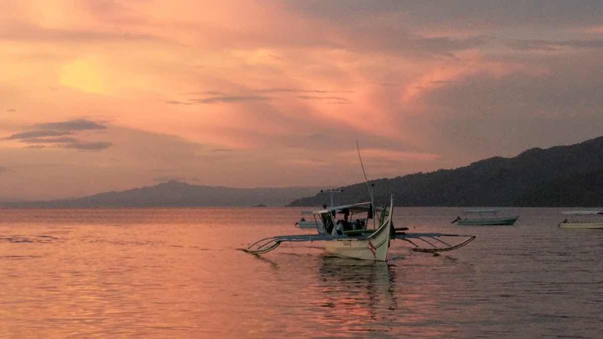 Anilao Photo Academy photo 9