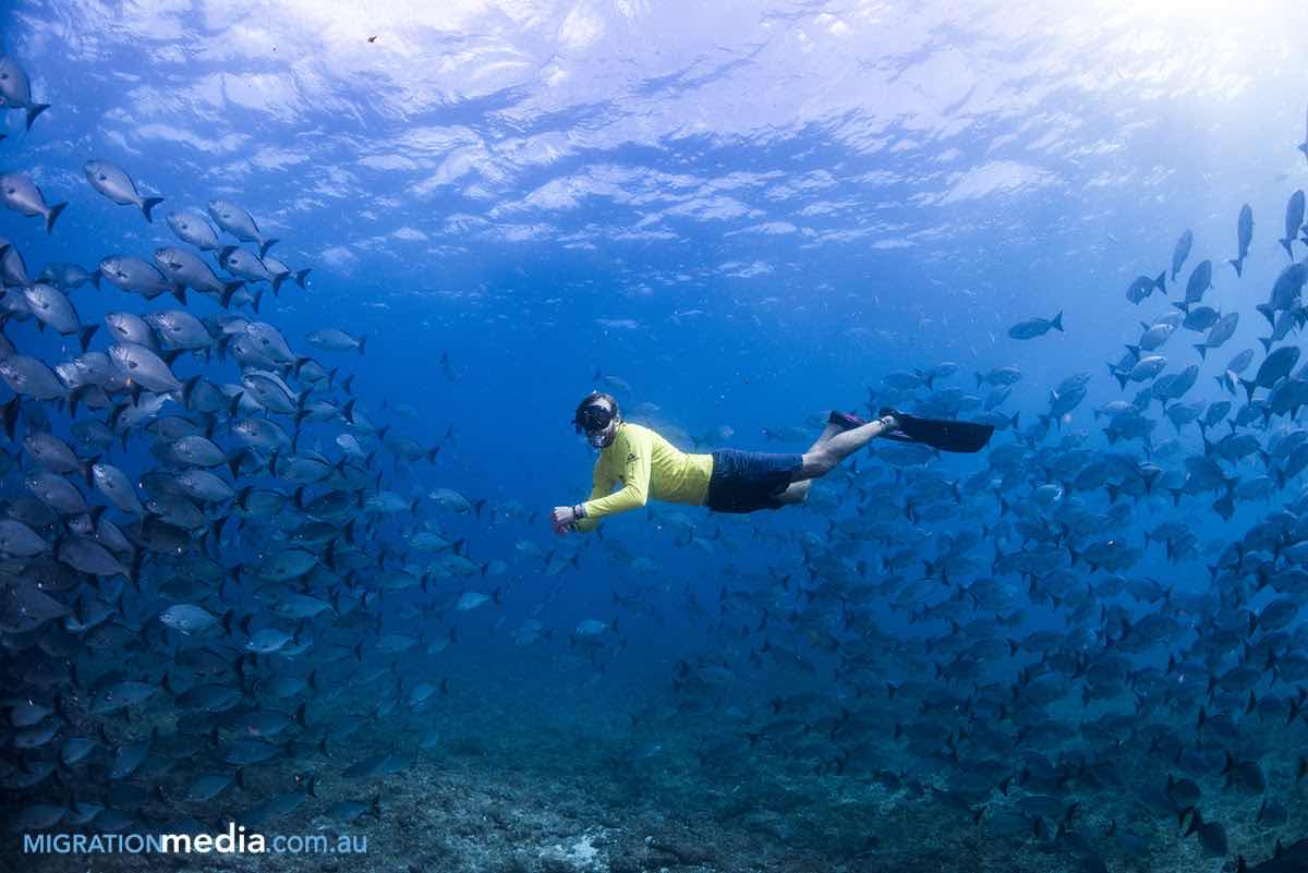 Ningaloo Reef Dive & Snorkel photo 1