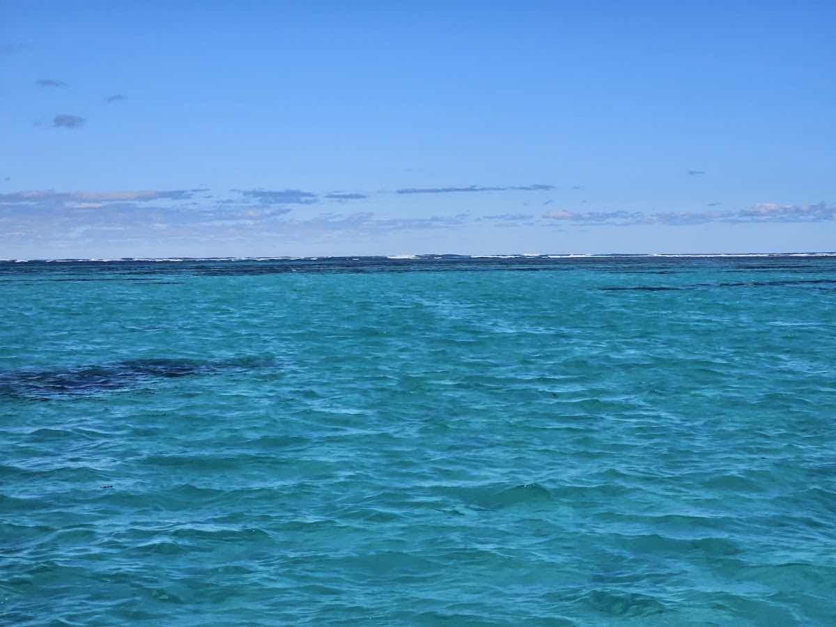 Ningaloo Reef Dive & Snorkel photo 3
