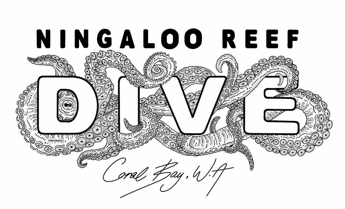 Ningaloo Reef Dive & Snorkel photo 7