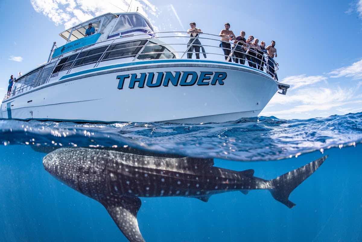 Ningaloo Reef Dive & Snorkel photo 8